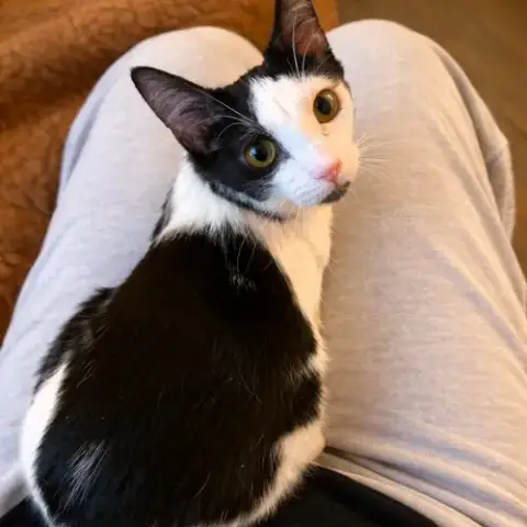 Figaro photo 2