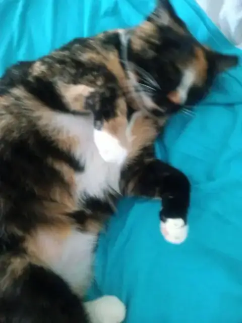 Mitzi photo 2