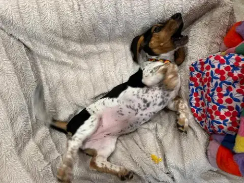Winnie E photo 4