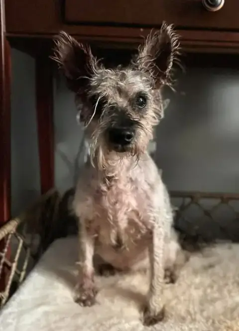 Zoe photo 3