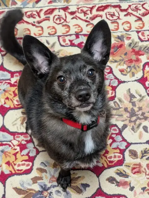 Jake photo 4