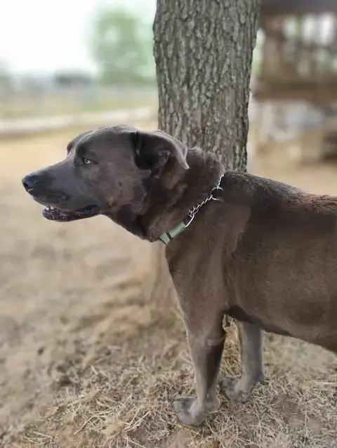 Zeus photo 3