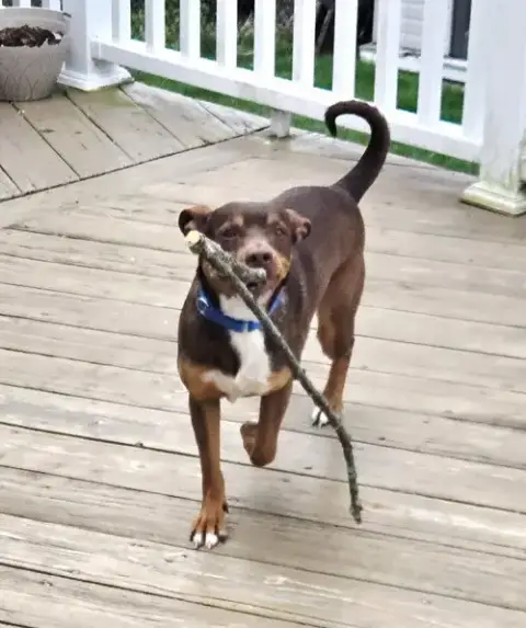 Penny Scas photo 5