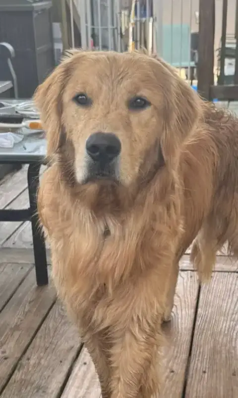 Dudley