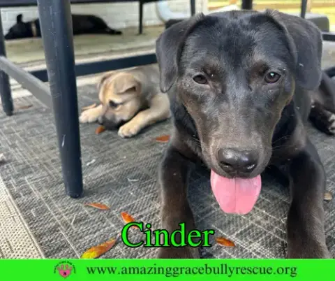 Cinder photo 4
