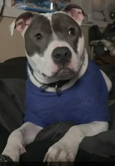 Niles photo 3