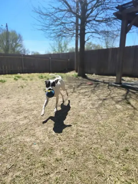 Delilah photo 3