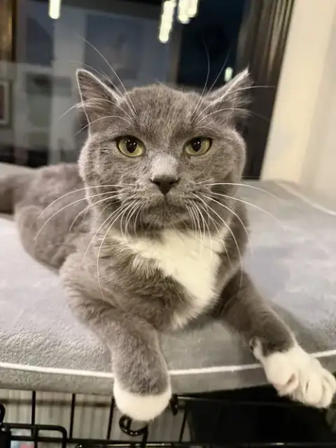 Lloyd