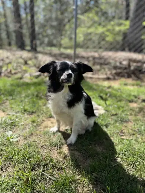 Edith