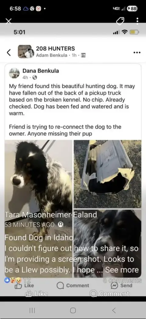 Taco Dogler photo 5