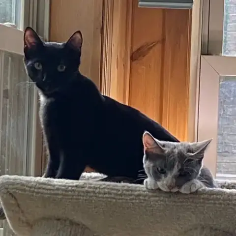Rocket photo 5