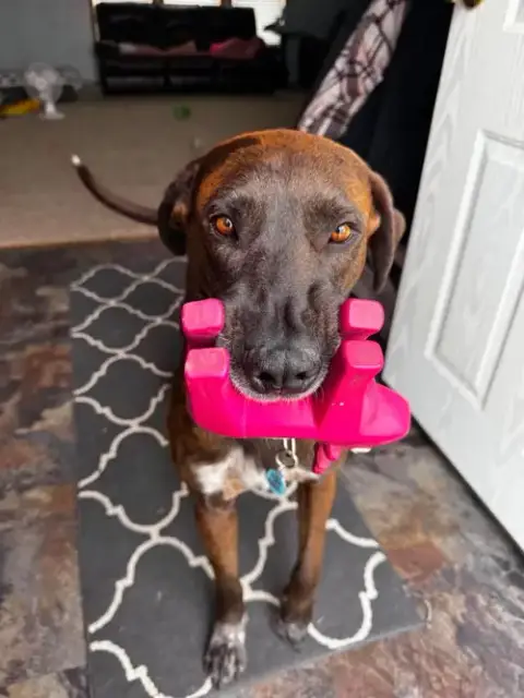 Scuttlebutt