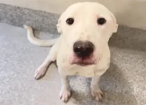 Ellie