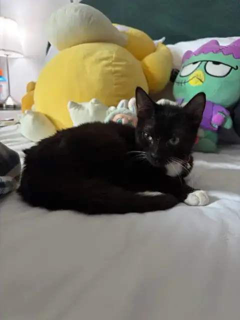 Buddy photo 4