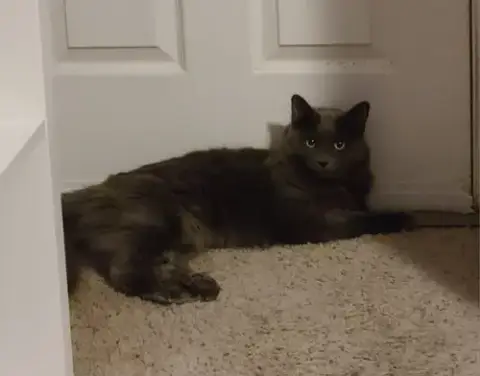 Nika