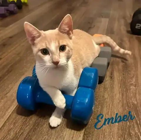 Ember #Brother-Of-Coal