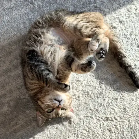 Bertha Mae