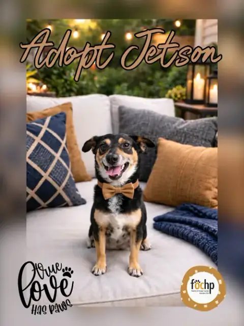 Jetson