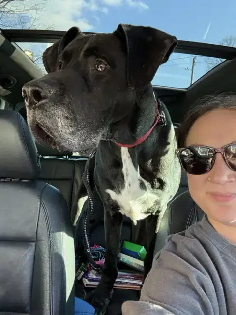 Hank photo 3