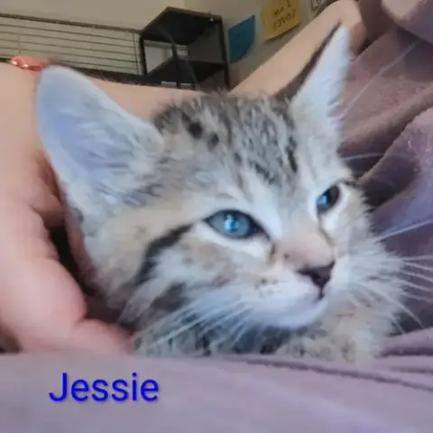 Jesse photo 3