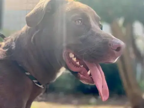 Kona photo 3