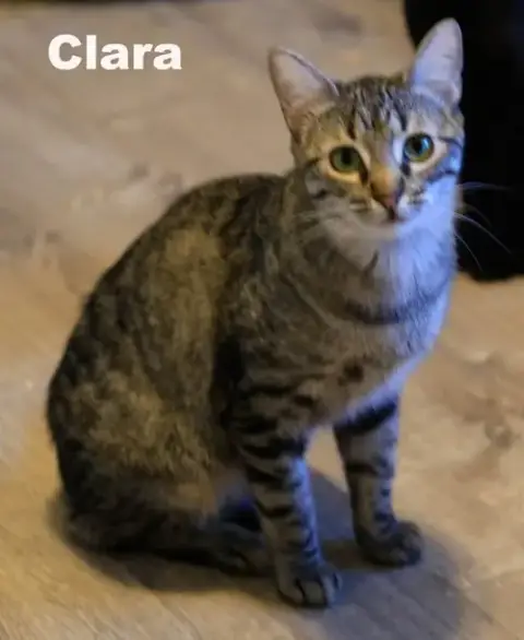 Clara photo 2