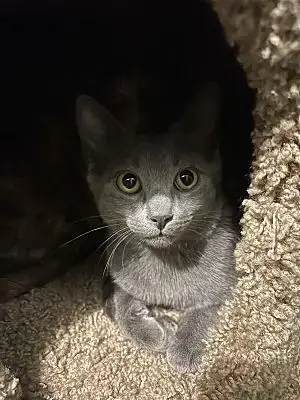Michelle photo 3