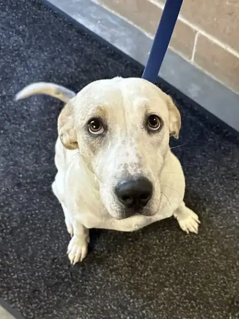Elsa Louisiana photo 3