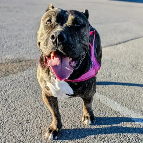 Fiona