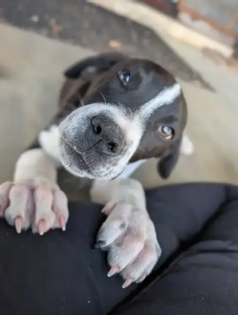 Zeus photo 2
