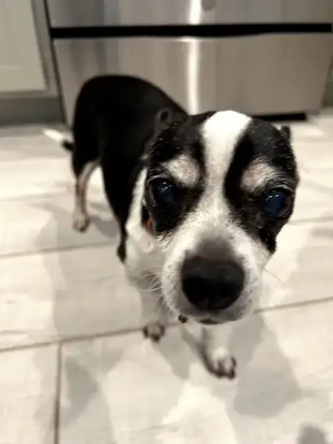 Charlie photo 5