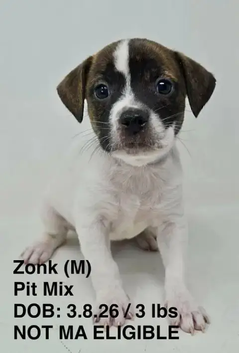 Zonk