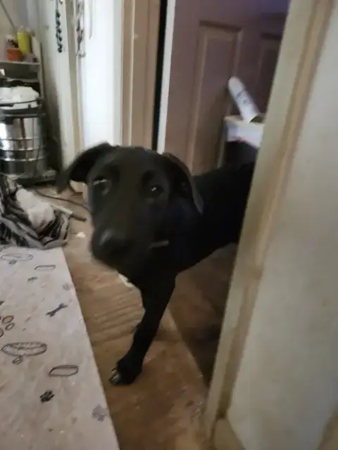 Morty photo 3