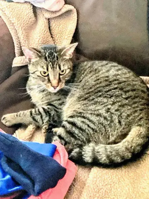 Jonas