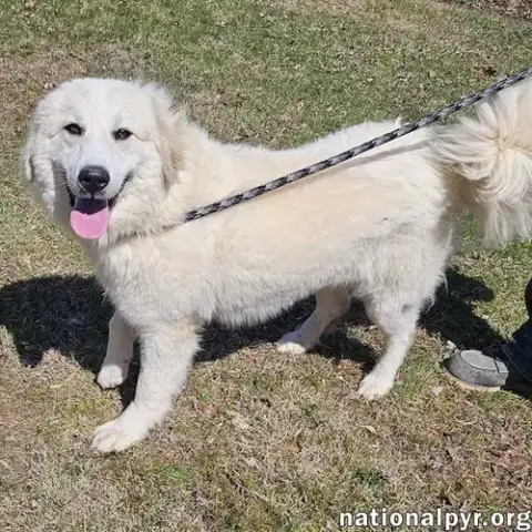 Luna In Nj
