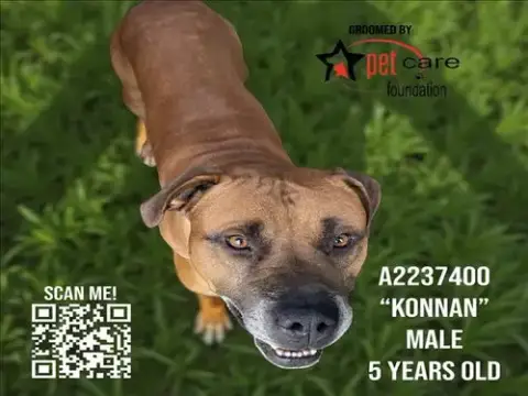 Konnan