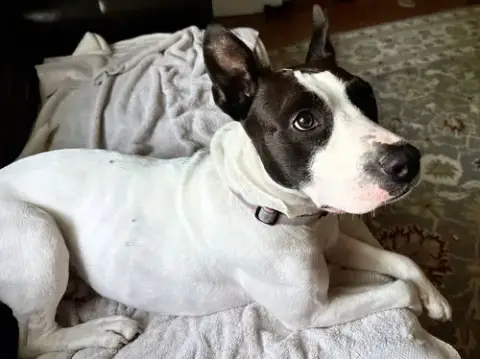 Leela photo 2