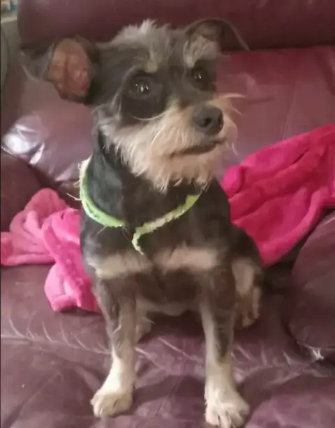 Betty Jean In Tx