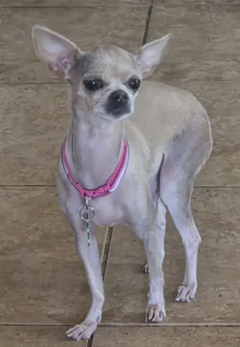 Winnie photo 4
