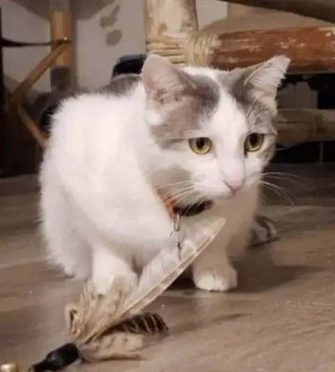 Lady Jane Grey photo 3