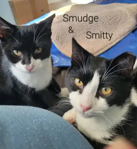 Smudge photo 2