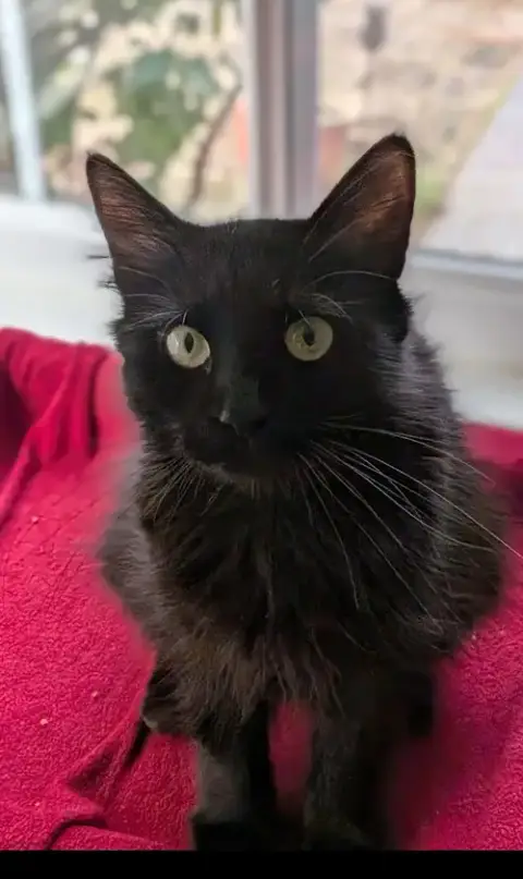 Evie photo 2