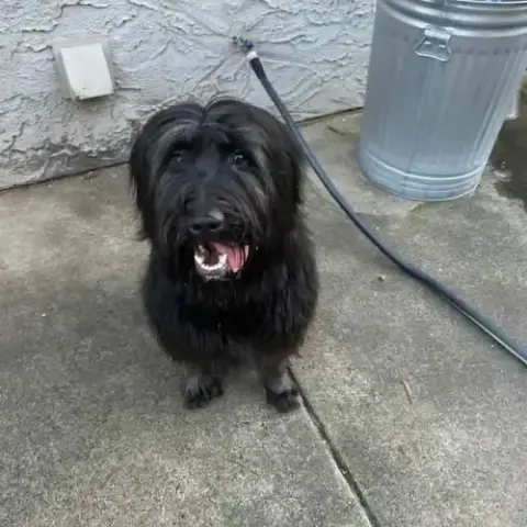 Charlie