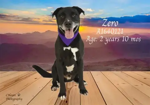 Zero