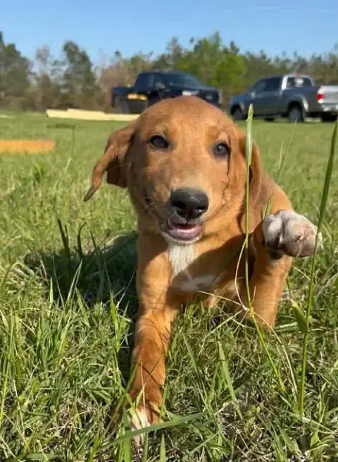 Daisy Jm In Ms photo 2