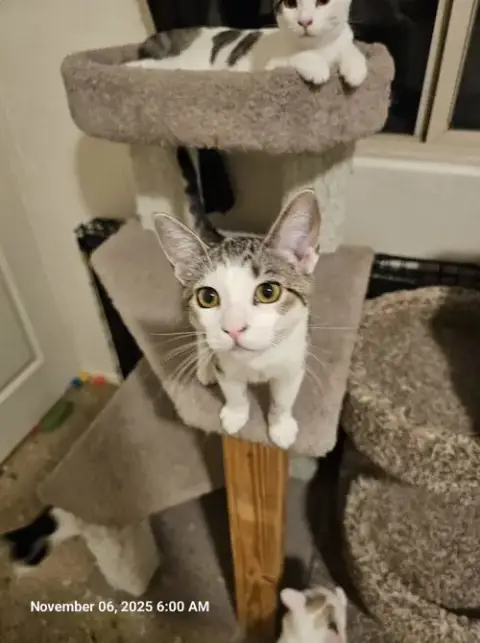 Penelope