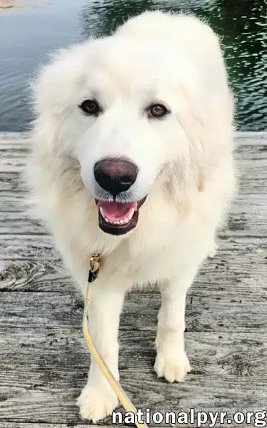 Kami In Ky photo 2