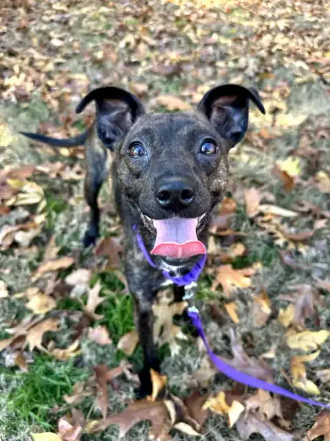 Winnie