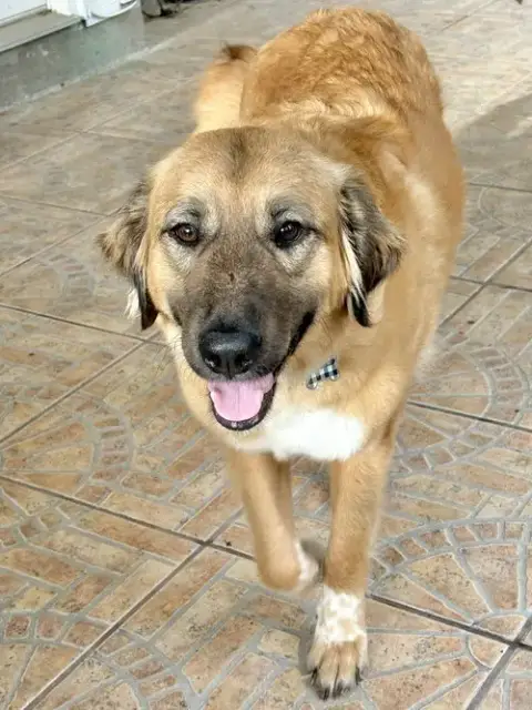 Ella