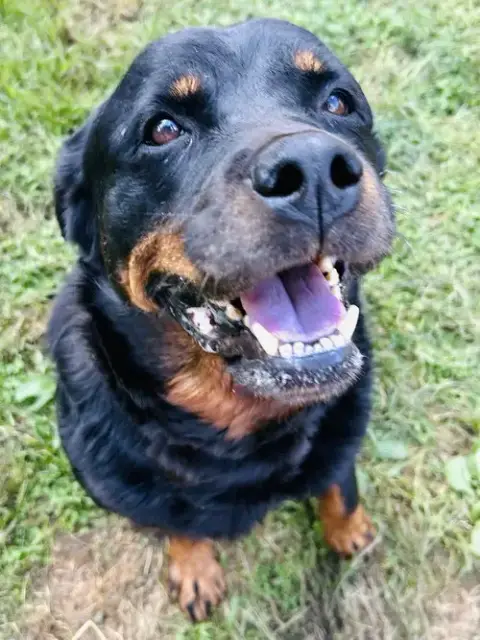 Sierra photo 2